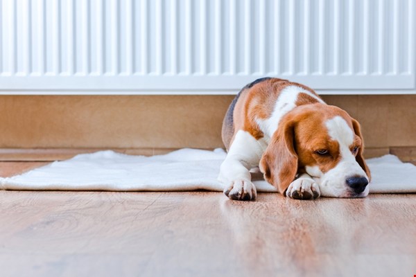 Creëer een warm en stijlvol thuis: de nieuwste trends in verwarming